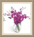 South Jersey Florist, 45 S New York Rd, Absecon, NJ 08205, (609)_404-1110